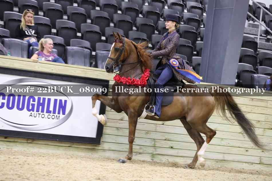 Proof 22BUCK_08009