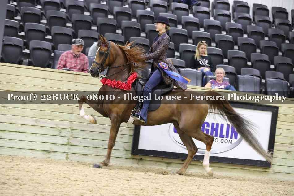 Proof 22BUCK_08010