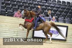 22BUCK_08010 proof