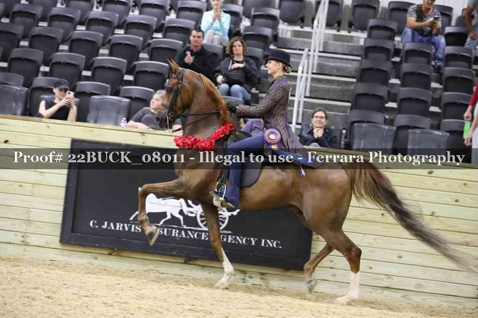 Proof 22BUCK_08011