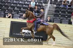 22BUCK_08011 proof