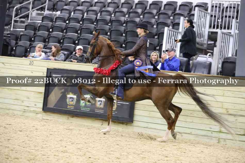 Proof 22BUCK_08012