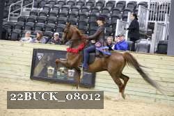22BUCK_08012 proof