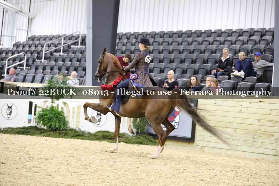 Proof 22BUCK_08013