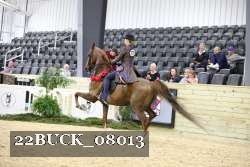 22BUCK_08013 proof
