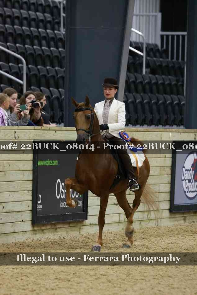 Proof 22BUCK_08014