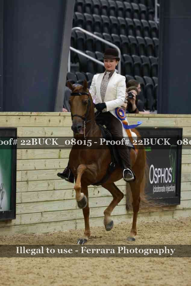 Proof 22BUCK_08015