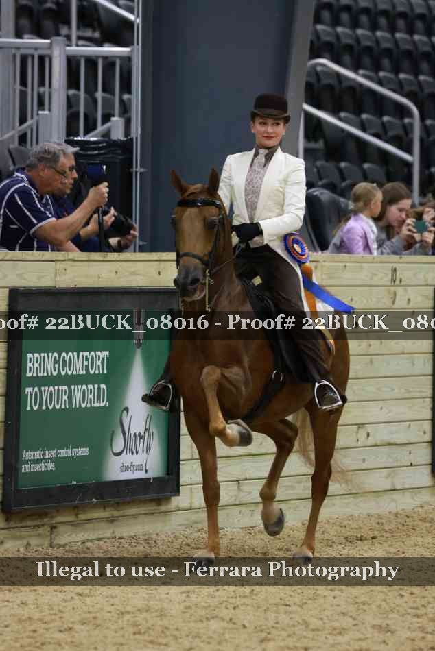 Proof 22BUCK_08016