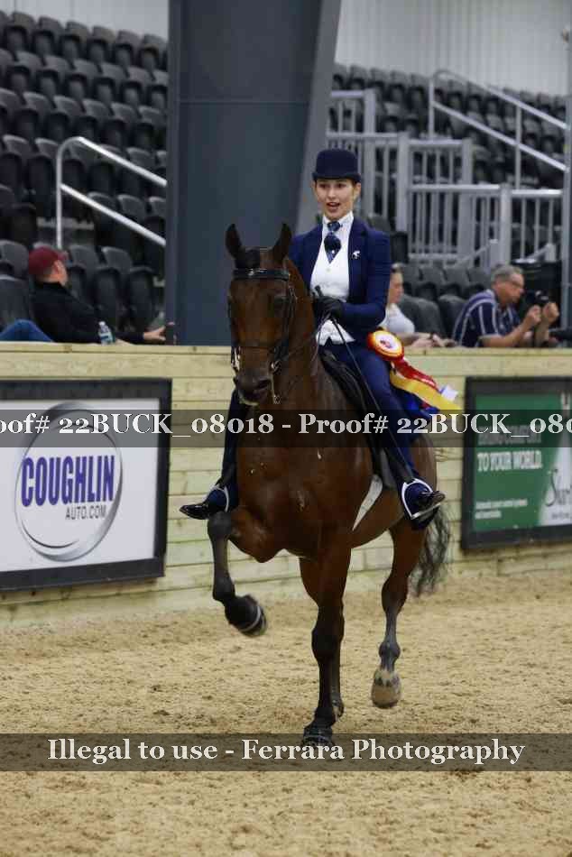 Proof 22BUCK_08018