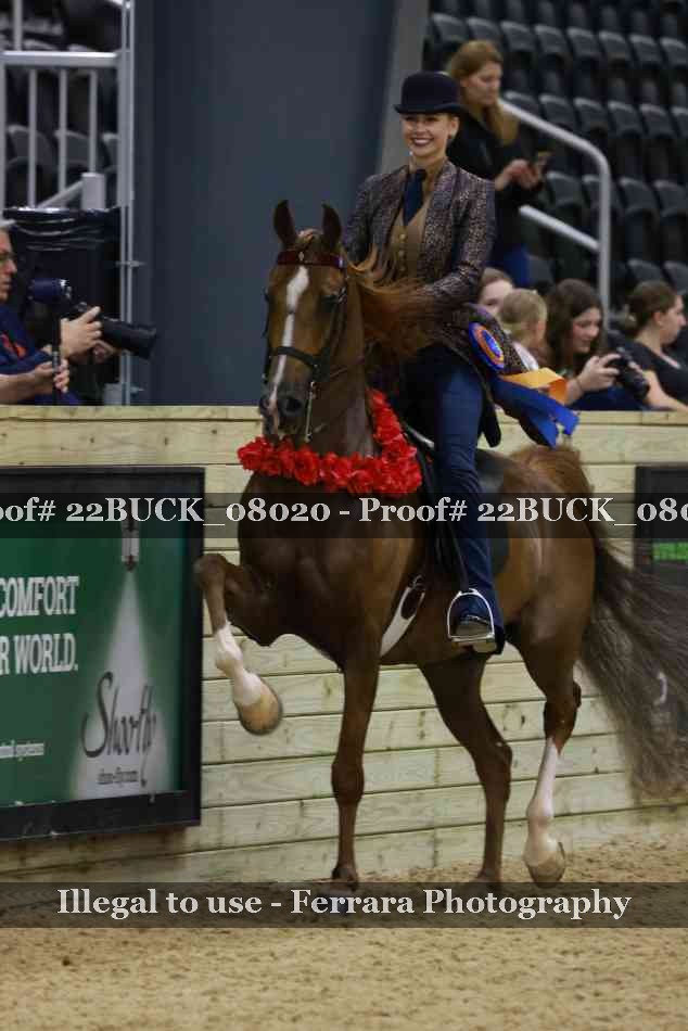 Proof 22BUCK_08020