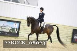 22BUCK_08023 proof