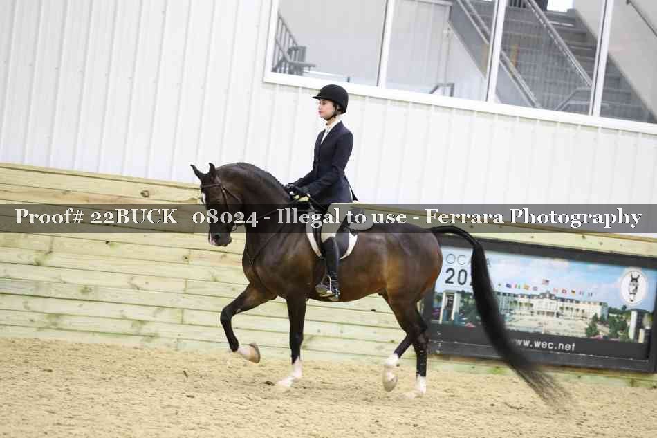 Proof 22BUCK_08024