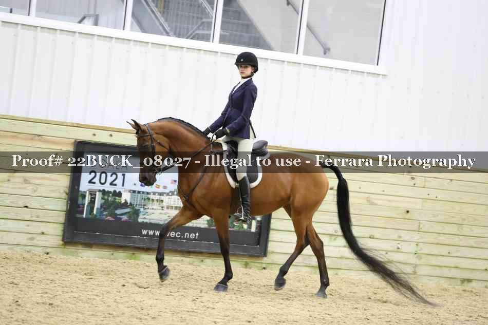 Proof 22BUCK_08027