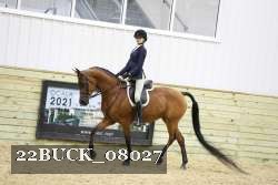 22BUCK_08027 proof