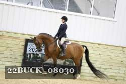 22BUCK_08030 proof