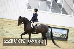 22BUCK_08032 proof