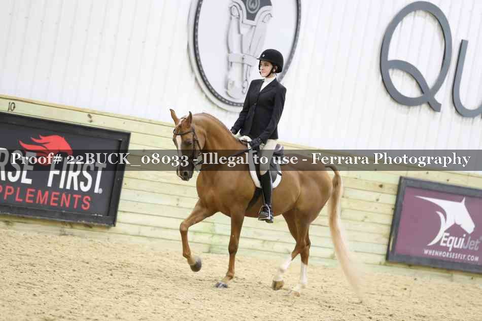 Proof 22BUCK_08033