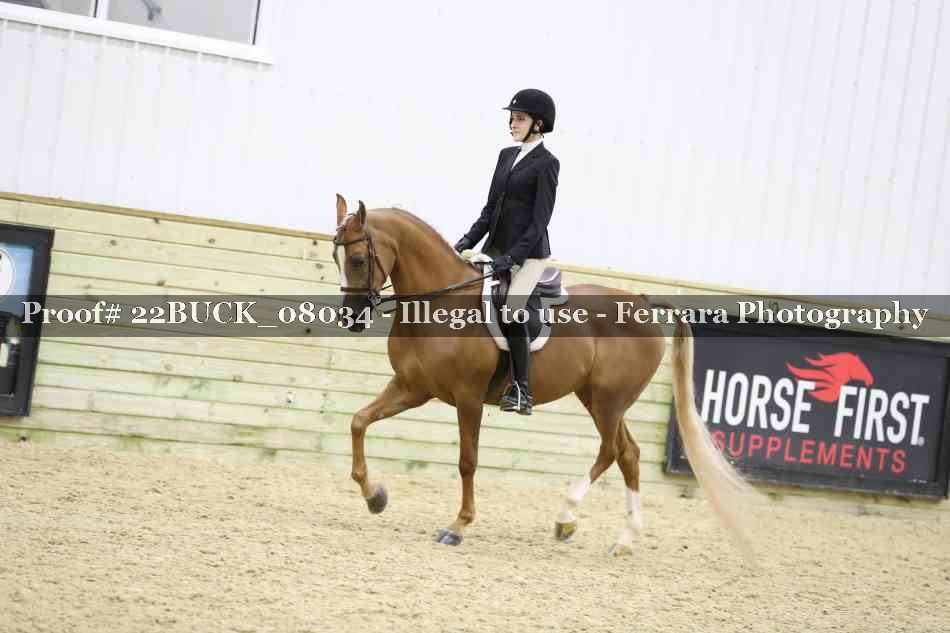 Proof 22BUCK_08034