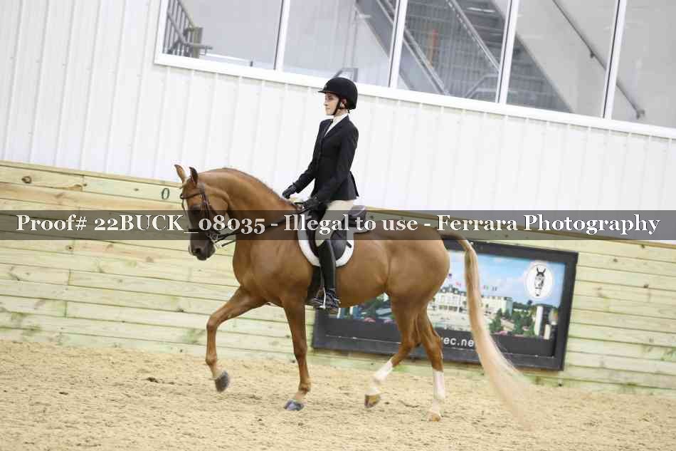 Proof 22BUCK_08035