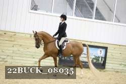 22BUCK_08035 proof