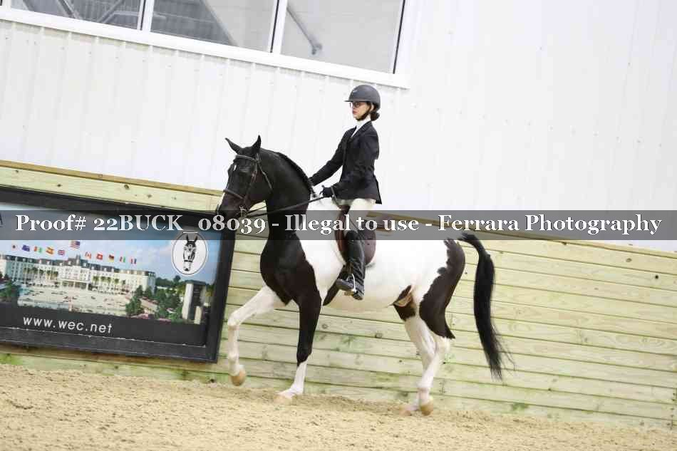 Proof 22BUCK_08039
