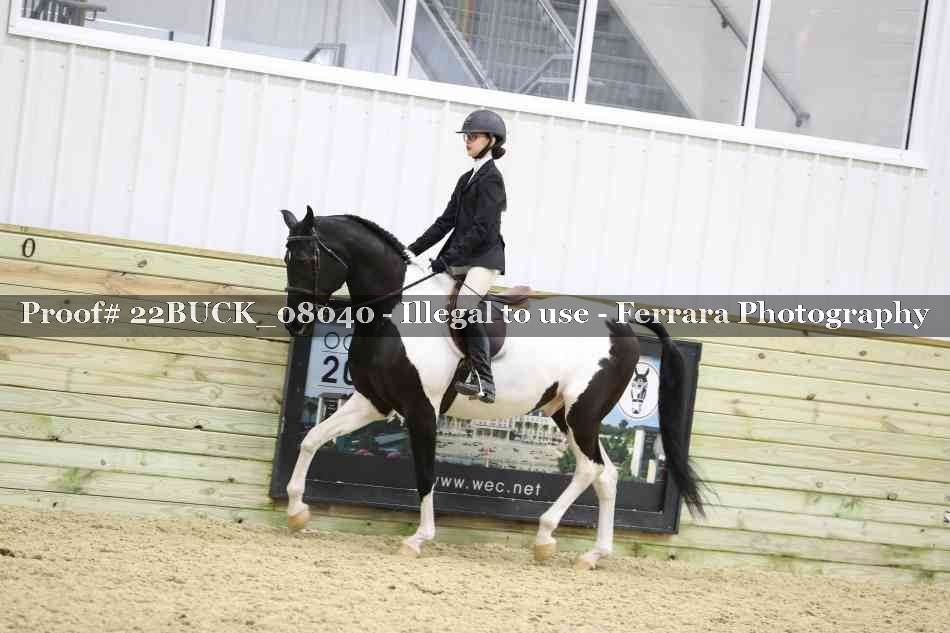Proof 22BUCK_08040