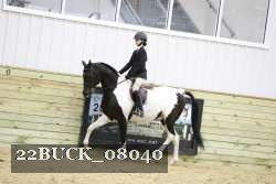 22BUCK_08040 proof