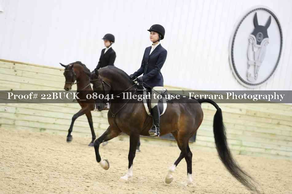 Proof 22BUCK_08041