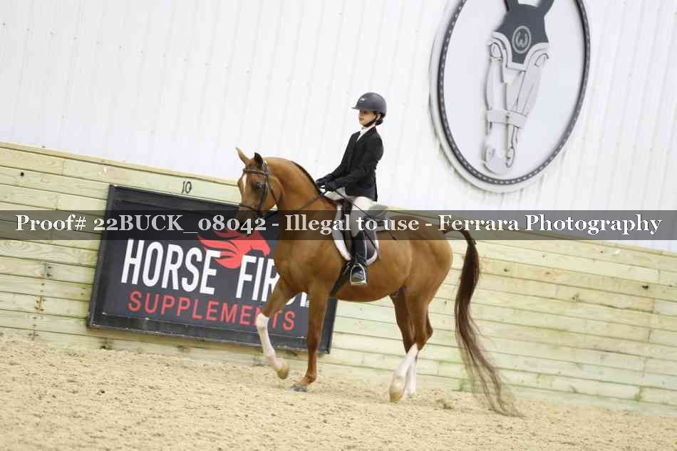 Proof 22BUCK_08042