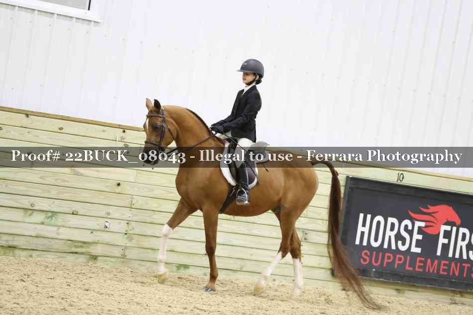 Proof 22BUCK_08043