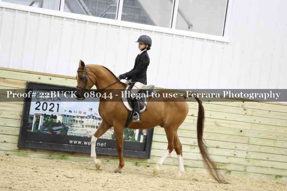 Proof 22BUCK_08044