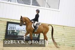 22BUCK_08044 proof