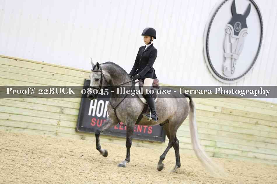 Proof 22BUCK_08045