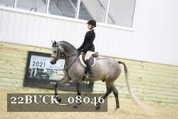 22BUCK_08046 proof