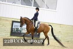 22BUCK_08048 proof