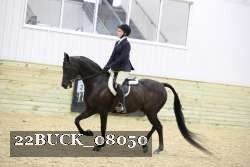 22BUCK_08050 proof