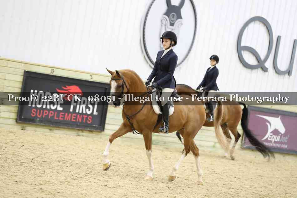 Proof 22BUCK_08051