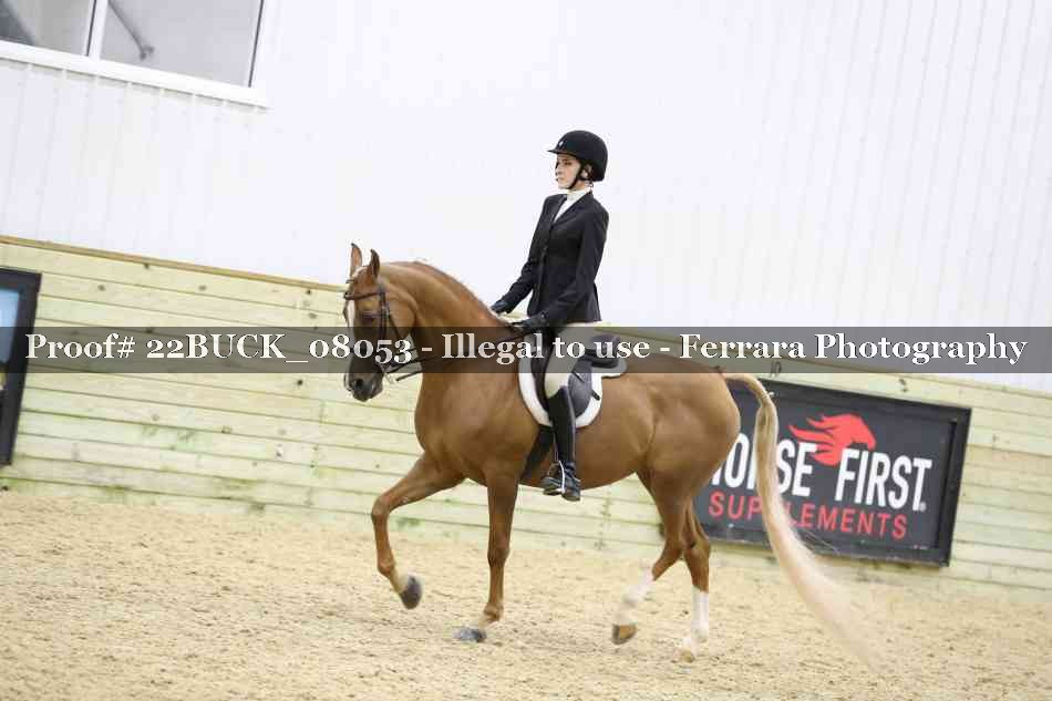 Proof 22BUCK_08053