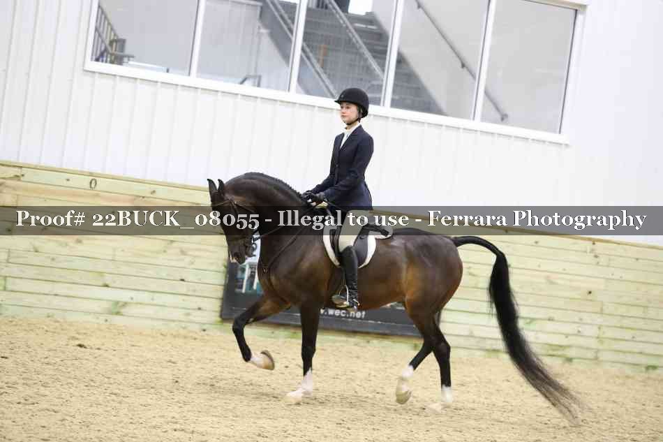 Proof 22BUCK_08055