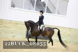 22BUCK_08055 proof