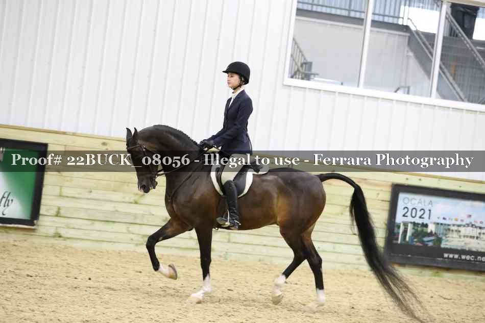 Proof 22BUCK_08056