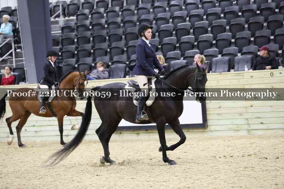 Proof 22BUCK_08059