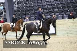 22BUCK_08059 proof