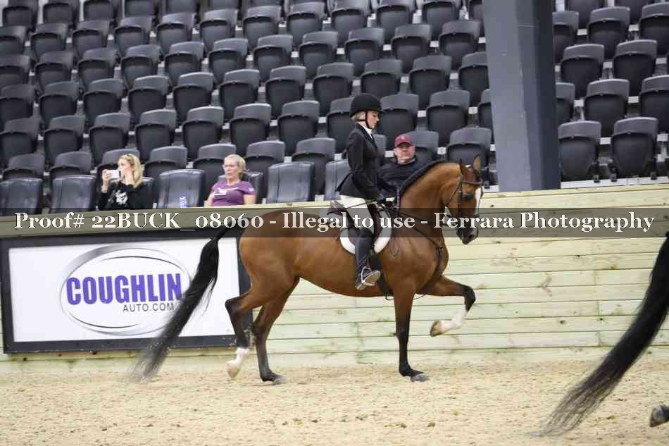 Proof 22BUCK_08060