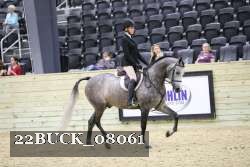 22BUCK_08061 proof