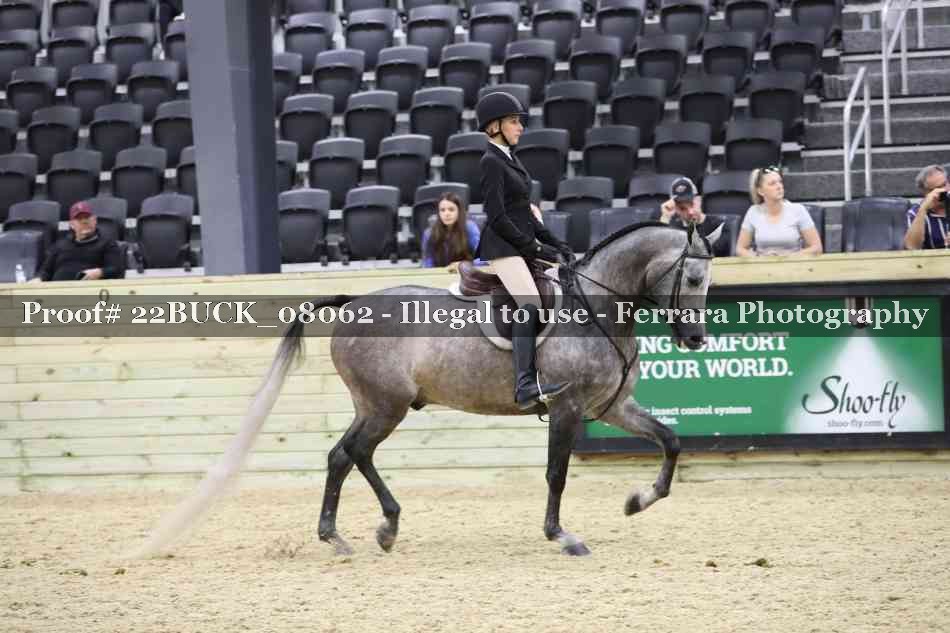 Proof 22BUCK_08062
