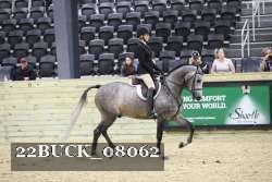 22BUCK_08062 proof