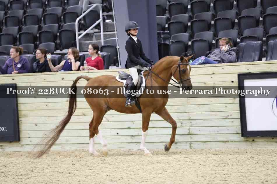 Proof 22BUCK_08063