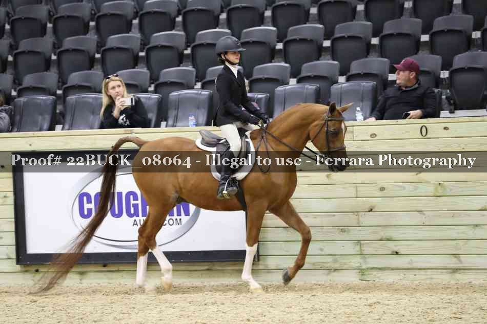 Proof 22BUCK_08064