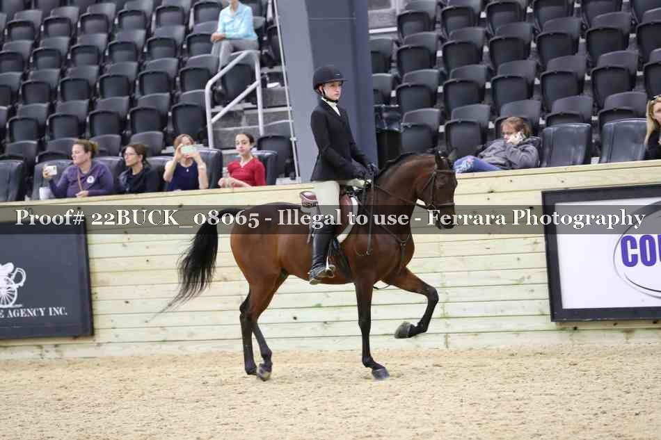 Proof 22BUCK_08065